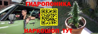 spice Обь