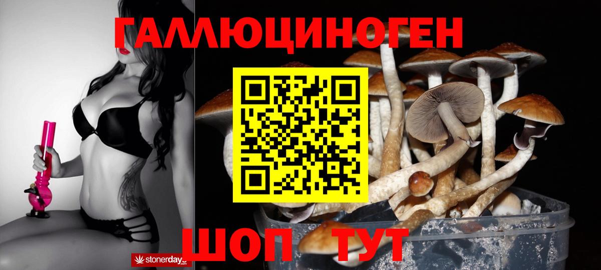 Псилоцибиновые грибы GOLDEN TEACHER Тверь